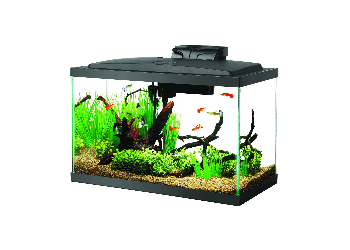 img-Aquarium