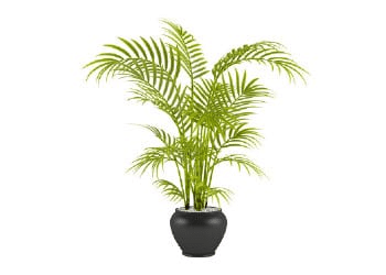 img-Plante Artificielle